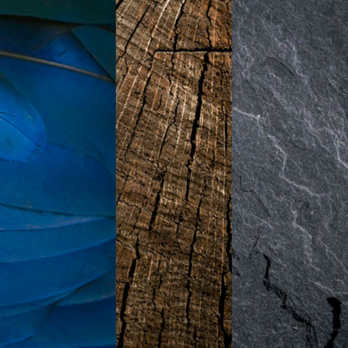 Colores de folios de naturkolor76 de ventanas pvc